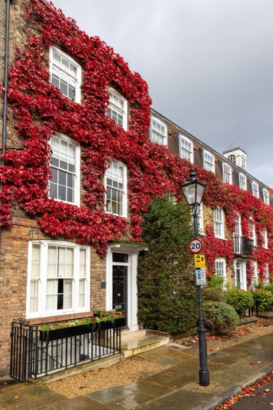 Development exterior view