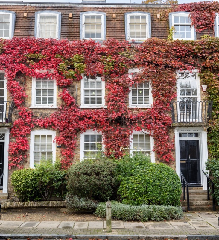 Modern living room interior